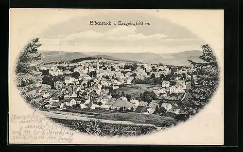 AK Eibenstock i. Erzgebirge, Gemeralansicht der Stadt