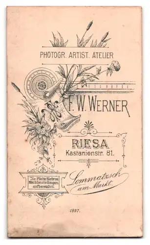 Fotografie Atelier Werner, Riesa, Kastanienstr. 81, Portrait junger charmanter Mann im Anzug