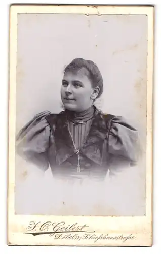 Fotografie J. O. Geilert, Döbeln, Schiesshausstrasse, Portrait bildschöne junge Frau in prachtvoller Bluse