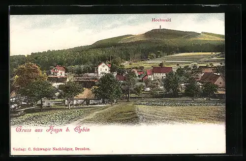 AK Hayn b. Oybin, Gesamtansicht mit Hochwald