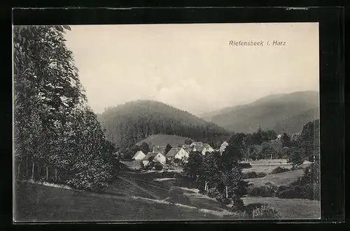AK Riefensbeek i. Harz, Panorama