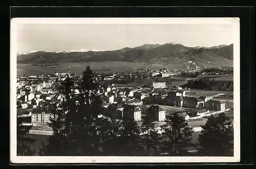 Künstler-AK Ruzomberok, Panorama