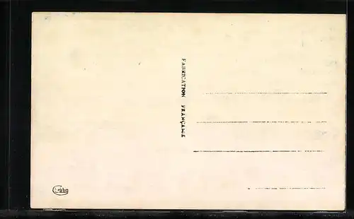 AK Piestany, Panorama