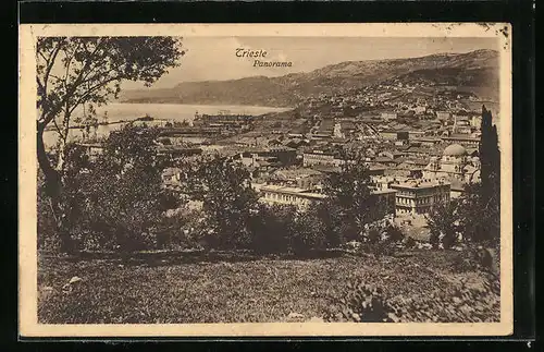 AK Trieste, Panorama