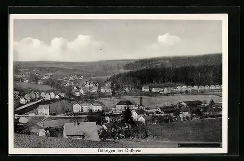 AK Böhrigen bei Rosswein, Generalansicht der Ortschaft