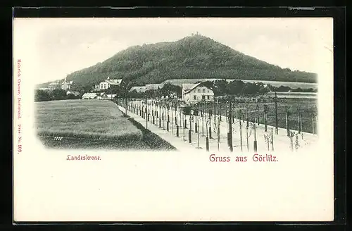 AK Görlitz, Landeskrone