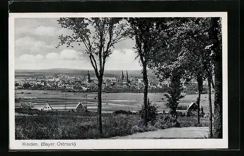 AK Weiden /Bayer. Ostmark, Teilansicht mit Bäumen
