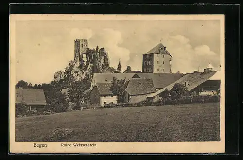 AK Regen, Ruine Weisenstein