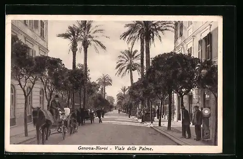 AK Genova-Nervi, Viale delle Palme