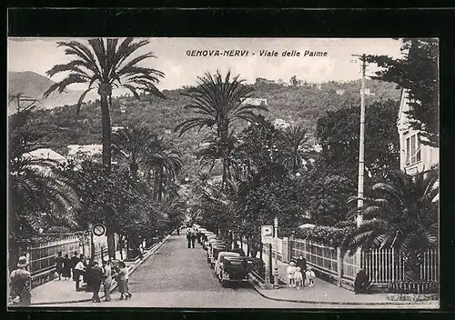 AK Genova-Nervi, Viale delle Palme