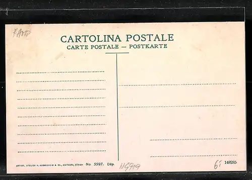 Mondschein-AK Nervi, Panorama