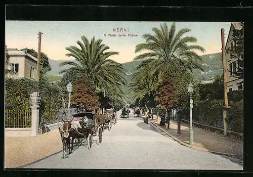 AK Nervi, il Viale delle Palme