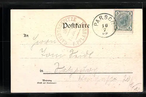 Lithographie Gaisberg, Totalansicht mit Reichenhall