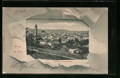 AK Linz a. d. D., Totalansicht vom Bauernberg aus
