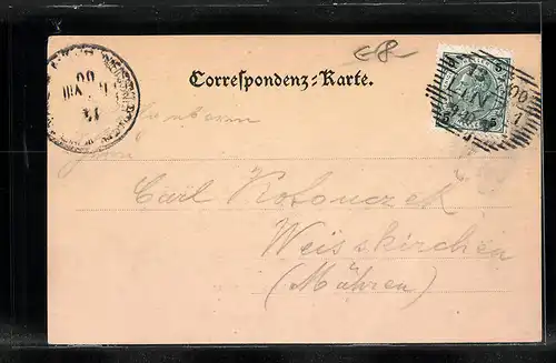 AK Linz a. d. D., Totalansicht vom Bauernberg aus