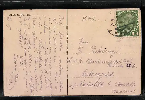 AK Wels, Totalansicht mit Brückenpartie