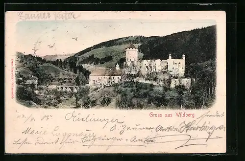 AK Wildberg, Schlossansicht mit Landschaftspanorama