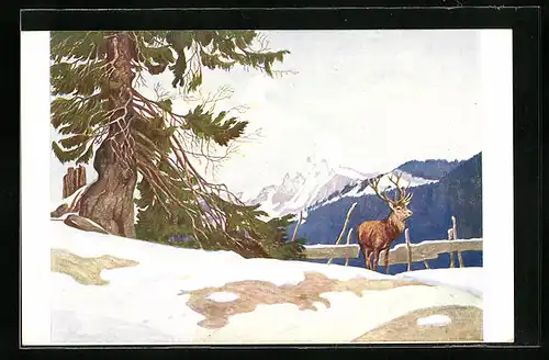 Künstler-AK Eugen Ludwig Hoess: Ein prächtiger Rothirsch auf freier Höhe