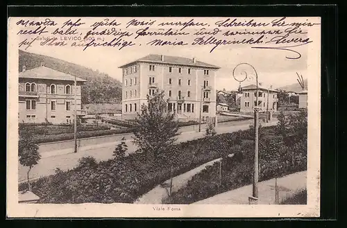 AK Levico, Viale Forma