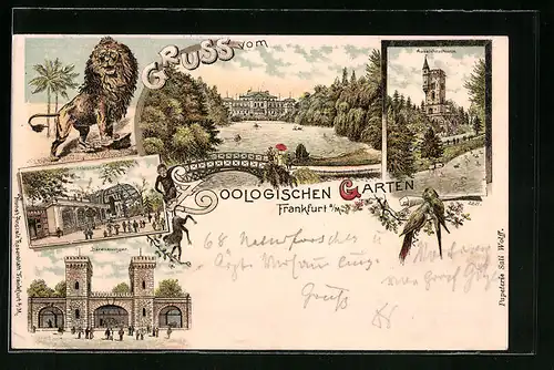 Lithographie Frankfurt a. M., Zoologischer Garten, Löwe, Affenhaus, Bärenzwinger und Aussichtsturm
