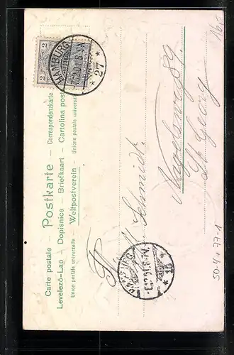 Lithographie Barometer steht auf Sturm, Frosch springt ins Wasser