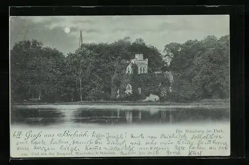 Mondschein-AK Biebrich, Die Moosburg im Park