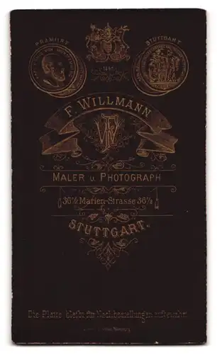 Fotografie F. Willmann, Stuttgart, Marienstr. 36, Portrait bildschönes Fräulein mit Brosche am Kleiderkragen