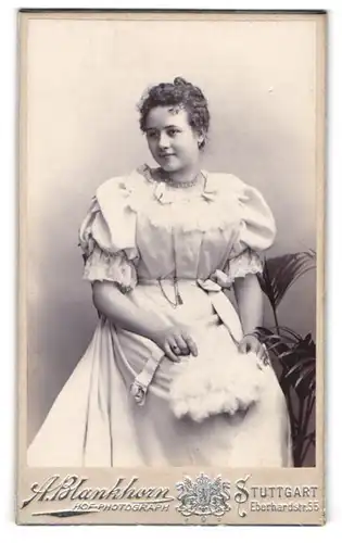 Fotografie A. Blankhorn, Stuttgart, Eberhardstr. 55, Portrait brünettes Fräulein im prachtvollen Kleid