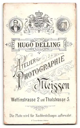 Fotografie Hugo Delling, Meissen, Wettinstrasse 2, Dame im Kleid mit Puffärmeln