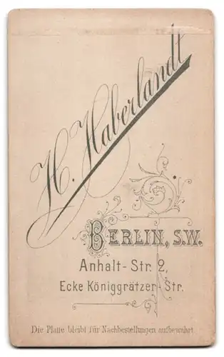 Fotografie H. Haberlandt, Berlin, Anhalt-Str. 2, Dame im Kleid mit Puffärmeln und Brosche