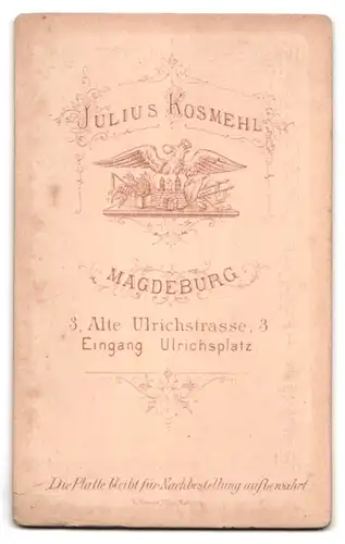 Fotografie Julius Kosmehl, Magdeburg, Alte Ulrichstrasse 3, Herr im Anzug mit Fliege