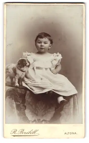 Fotografie R. Przibill, Altona, Reichenstrasse 18, Kleinkind im Kleid mit Spielzeug-Hund