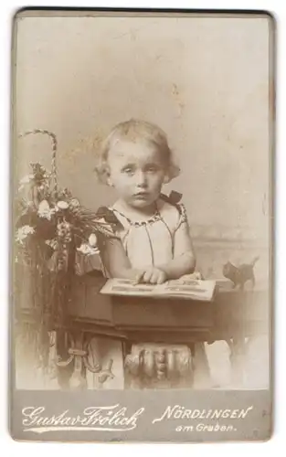Fotografie Gustav Frölich, Nördlingen, Modisch gekleidetes Kind mit Bilderbuch