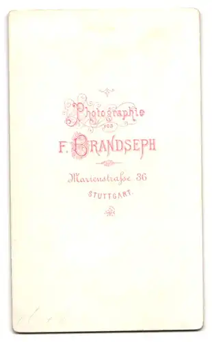 Fotografie F. Brandseph, Stuttgart, Marienstrasse 36, Bürgerliche Dame mit Kragenbrosche