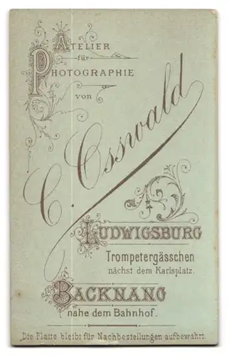 Fotografie C. Osswald, Ludwigsburg, Trompetergässchen, Junge Dame in zeitgenössischer Kleidung