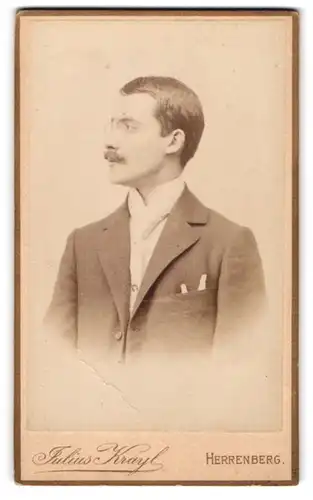 Fotografie Julius Krayl, Herrenberg, Eleganter Herr mit Zwicker und Schnurrbart