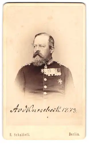 Fotografie H. Schnäbli, Berlin, Portrait Alfred von dem Knesebeck in Uniform, Ordenspange, Mitglied des Reichstags, 1873