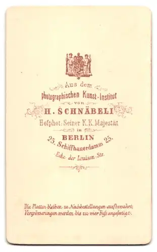 Fotografie H. Schnäbli, Berlin, Portrait Alfred von dem Knesebeck in Uniform, Ordenspange, Mitglied des Reichstags, 1873