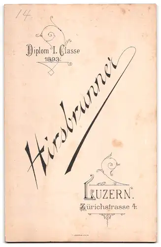 Fotografie Hirschbrunner, Luzern, junges Brautpaar im schwarzen Hochzeitskleid und Anzug mit Schleier und Zylinder