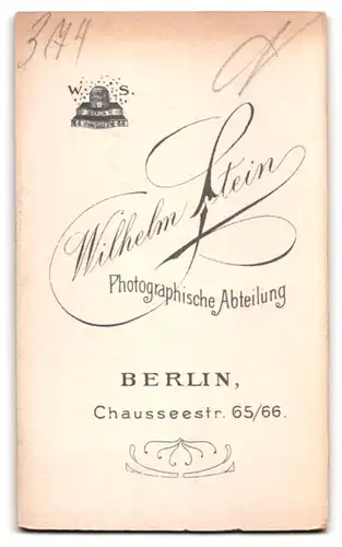 Fotografie Wilhelm Stein, Berlin, älterer Herr im Anzug mit buschigem Vollbart sitzend im Atelier