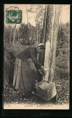 AK Landes, Récolte de la Résine