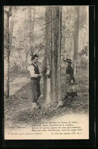 AK Forstarbeiter bei der Harzgewinnung