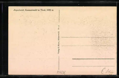 AK Ammerwald, Blick zum Alpenhotel
