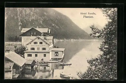AK Breitenwang, Blick auf das Hotel Forelle am Plansee