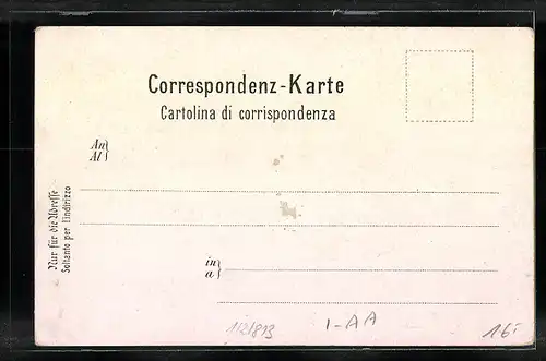 Lithographie Trient, Dom, Ortsansicht aus der Vogelschau