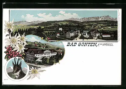 Lithographie Bad Gonten b. Appenzell, Ortsansicht aus der Vogelschau, Gämse im Portrait