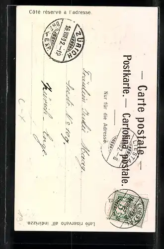 Passepartout-Lithographie Liestal, Strassenpartie am oberen Tor, Wappen mit Gämsen