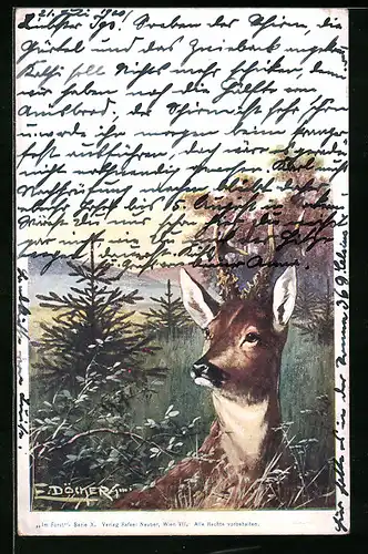 Künstler-AK E. Döcker: Rehbock im hohen Gras
