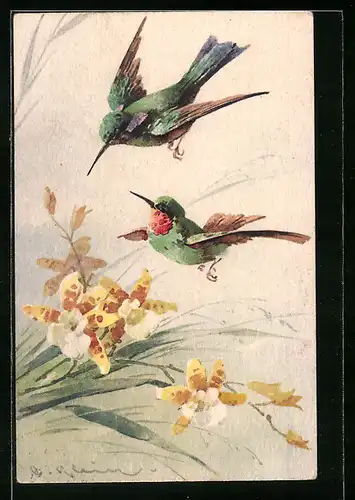 Künstler-AK Catharina Klein: Kolibris und gelbe Blumen