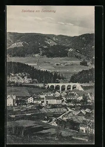 AK Steinhaus am Semmering, Ortsansicht aus der Vogelschau